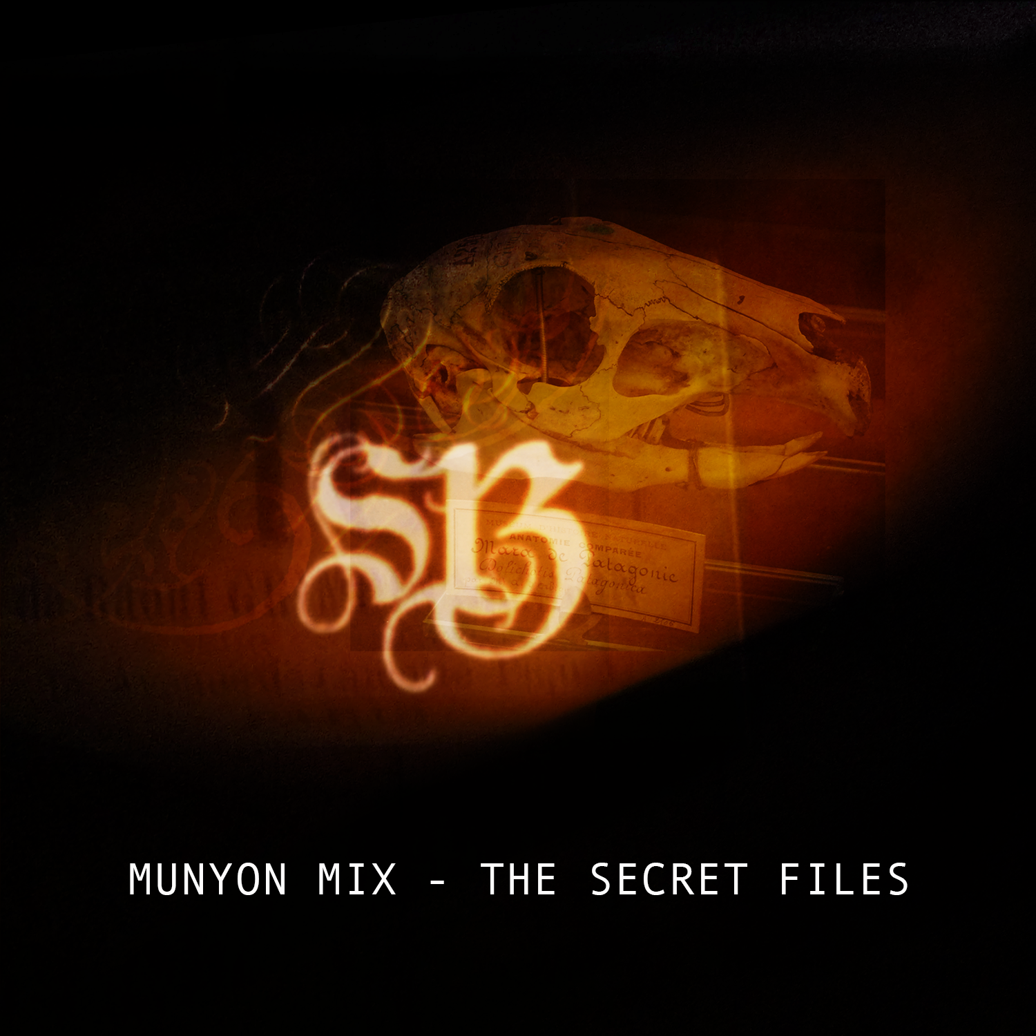 The Munyon Mixes